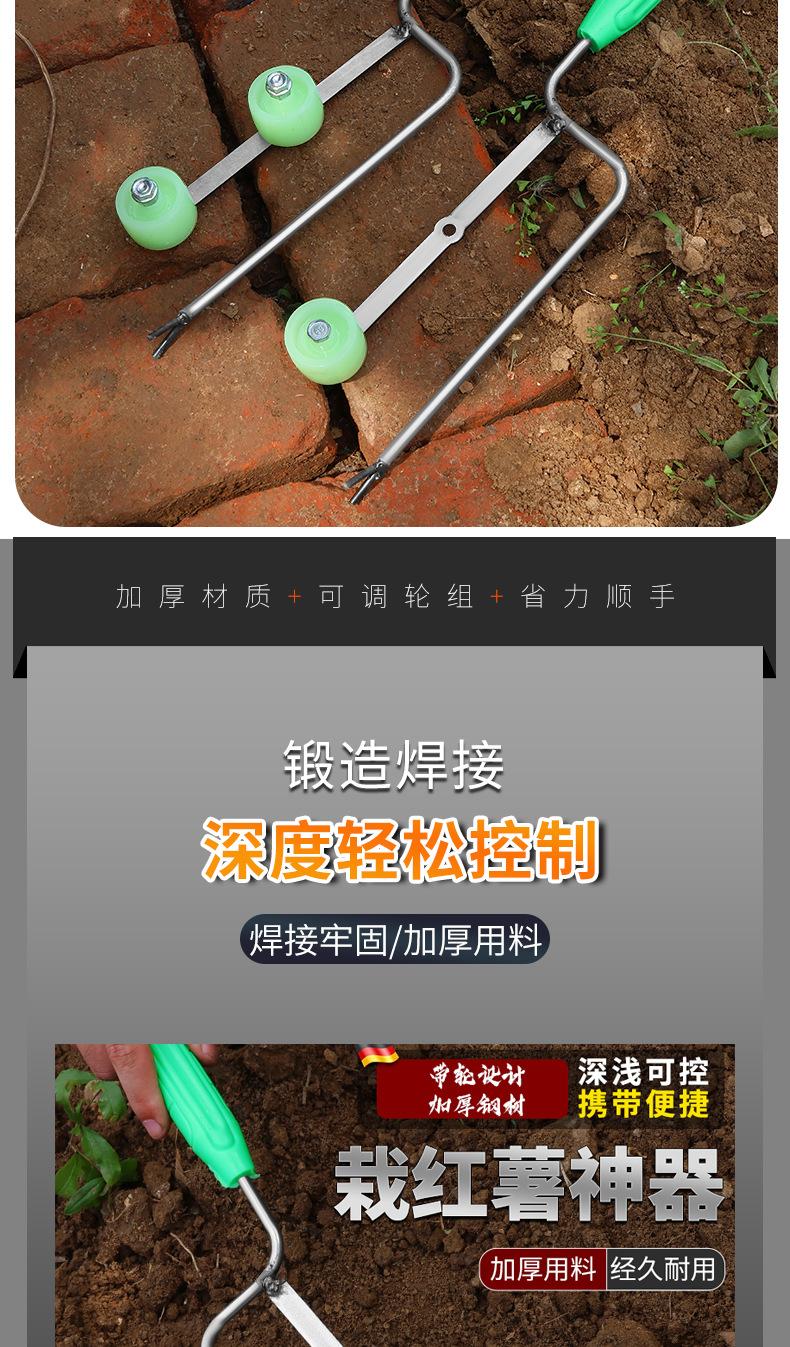 详情_10.jpg