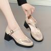 Zapatos de mujer de una sola capa con hebilla 2023 Nuevos zapatos huecos tacón grueso zapatos de verano para mujer zapatos de madre sandalias de malla de punta cerrada