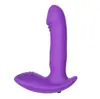 Masajeador Vibratorio de Punto G Próstata Punto G Silicona Plug Anal Masturbación Coqueteo Juguetes para la Corte Trasera para Hombres y Mujeres Lote de Comercio Exterior