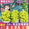 Uva Rosa Sol 2,5kg Uva Qingwang Fruta Fresca da Estação Caixa Fechada Conjunto de Presente Sem Sementes Doce Perfumada Uva Verde Indiana