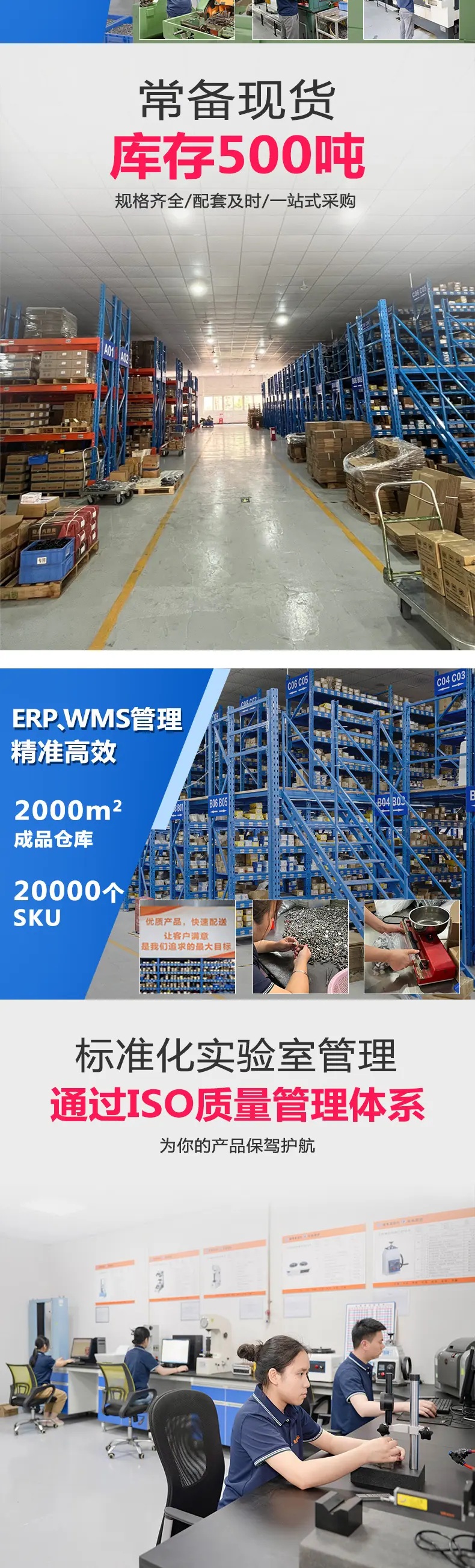 东标316盘头自攻新详情_03.jpg