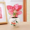Planta em Vaso Vermelho Geely, Planta Verde Ruyi Rainha Elefante Branco Hidropônica, Planta de Folha Decorativa para Mesa de Escritório, Flor Fácil de Cuidar