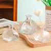 Garrafa de Aromaterapia de Vidro Estilo Ins Garrafa Vazia Tipo Garrafa Difusor de Perfume para Interior Multi-Especificação Ornamento Decorativo