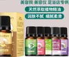 Palo de Masaje Acupuntural de 65 Bolas para Desobstruir Meridianos y Masaje de Salud Fabricante Venta al por Mayor