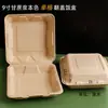 Caixa de embalagem descartável biodegradável caixa de polpa Caixa de Almoço fast food caixa de hambúrguer americano com tampa caixa bento para almoço caixa com trava