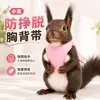 Arnés para ardilla, marmota, conejo, suricata, chinchilla, hurón, cobaya, correa desmontable anti-escape