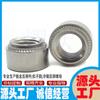 Tornillos para Placa de Acero Inoxidable Antiaflojamiento Remache en Frío para Venta al por Mayor Sp-M3-0 Sp-M3-1 Sp-M3-2