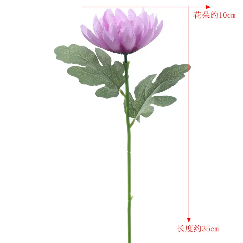 858A9236_副本.jpg