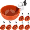 Bebedero para pollos comercio exterior transfronterizo pollo, pato y ganso dispositivo de bebida automática bebedero para aves de corral alimentador de agua para incubación