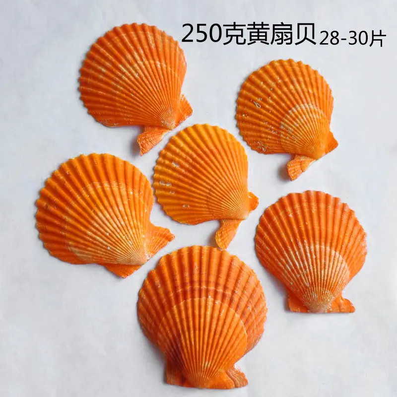 250克黄扇贝28-30片