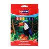 Lápices de Colores de Núcleo Grueso Transfronterizos Tianhui, Lápices de Colores Hexagonales Ecológicos Sin Madera, Set de Lápices para Dibujo y Boceto Infantil
