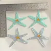 Acessórios de Estrela do Mar Azul Menta Gelada para Presilhas de Cabelo DIY, Acessórios de Cabeça, Decoração de Capa de Celular, Acessórios de Decoração para Sapatos Croc Venda por Atacado