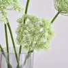 Flor de Renda Simulação Flor de Planta Verde Simples Moderna Flor de Cebola Flor Falsa Dente-de-leão Arranjo de Casamento Espuma Flor de Renda Simulação