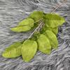 9 Hojas Grandes de Toronja para Arreglos Florales de Boda, Hojas Decorativas, Flores de Seda, Hojas de Flores Artificiales, Materiales de Decoración de Boda de Caqui