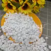 Piedra Volcánica y Piedra de Arroyo para Paisajismo de Acuario, Grava de Fondo sin Lavar, Piedra Ecológica Tradicional con Filtro para Plantas Acuáticas para Tortugas
