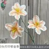 3 Cabezas Tulipanes Impresos, Lirios de Día, Arcos de Boda, Flores Falsas, Accesorios de Fotografía, Ramos Artificiales