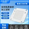 Alta Eficiencia Lumínica Cob Perlas de Luz Integradas 4046Cob Luz Roja y Azul Parche LED Belleza Médica Perlas de Luz de Alto Brillo Sin Controlador