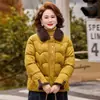 2026 Novo Estilo Roupas de Inverno para Mães Jaqueta de Algodão Engrossada Novo Estilo Chinês Elegante Quente Roupas de Algodão Temperamento Outwear para Mulheres de Meia-Idade e Idosas