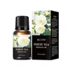 Comercio Exterior Transfronterizo Mejisoo Aceite Esencial de Aromaterapia Soluble en Agua Humidificador Máquina de Aromaterapia Aire Fresco Aceite Esencial de Aromaterapia