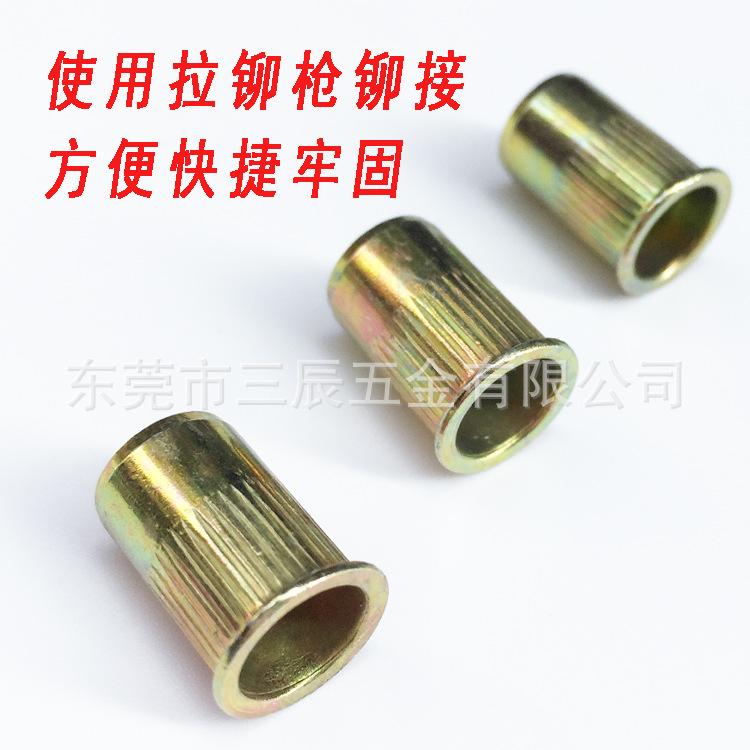 小头竖纹4.jpg