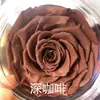 Rosa Eterna Gigante de 10-12 cm Rosa Preservada Flor Eterna Navidad Tanabata Día de San Valentín Regalo de Cumpleaños