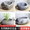 Maceta de Piedra, Piedra Natural, Planta de Juncia, Suculenta, Adorno de Bonsái Retro, Maceta de Cerámica No Hidropónica, Acuario
