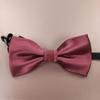 Entrega de Fábrica Rayas de Poliéster Puntos Polares Estudiante Varón Niños Pequeños Corbata de Moño Corbata Corbata Cuello de Moño Secciones Accesorios