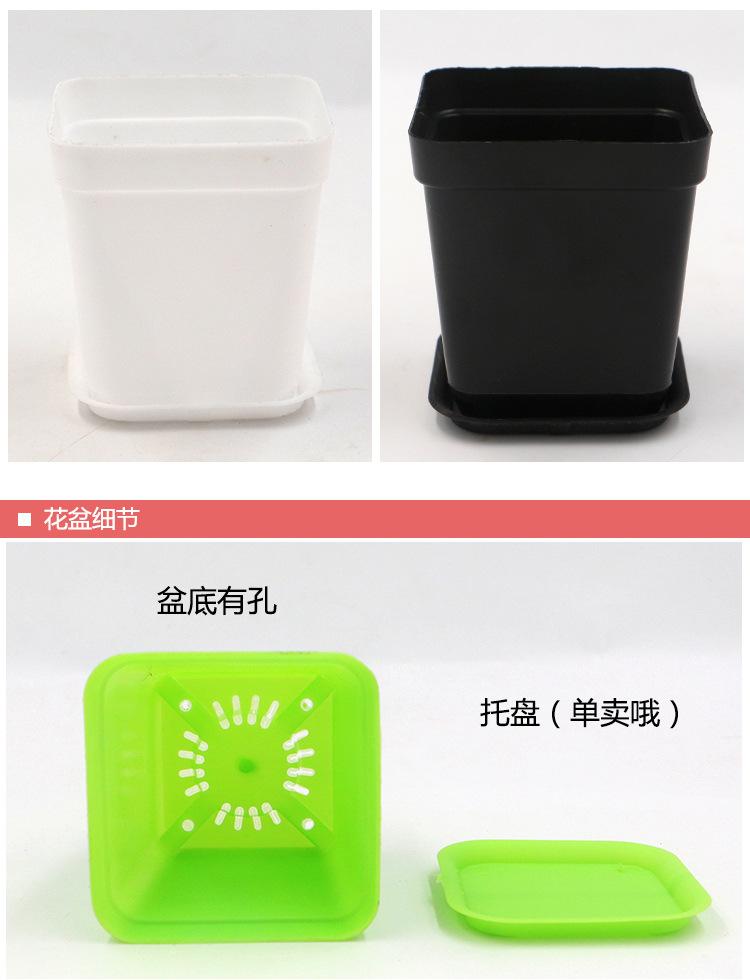 七彩小花盆详细4