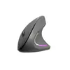 Nuevo ratón vertical ergonómico ratón inalámbrico de doble modo para oficina ratón de teclado silencioso de carga de mano vertical modelo privado