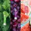 Bastão Nasal Refrescante de Menta Personalizado Transfronteiriço Totalmente em Inglês para Refrescar e Respirar Livremente, Bastão Suavizante para Congestão Nasal e Bastão de Inalação Nasal