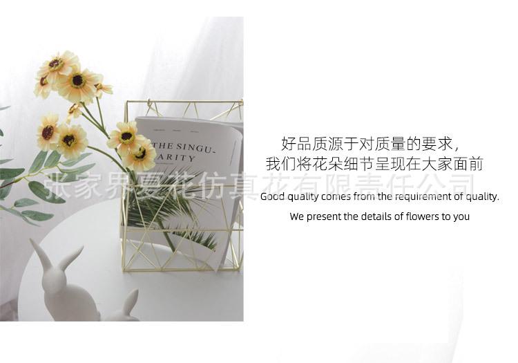 详情页_26.jpg