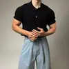 Polo de punto de verano con solapa para hombre, nuevo diseño de Dongdaemun, sensación fresca de nicho, camiseta de manga corta holgada tipo panal