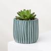 Vaso de Cimento com Design Criativo Personalizado Simples Escandinavo Diâmetro Grande Suculenta Pothos Vaso para Planta Suculenta