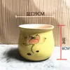 Maceta de flor de suculenta de dibujos animados, cerámica, transpirable, fresca, creativa, expresión linda, para flores y plantas suculentas, maceta para uso en casa