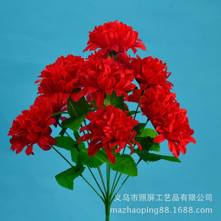 12头爪菊16