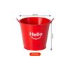 Balde de imitação de lata pequeno Balde de flores Balde de flores Plantação verde Conjunto de plantio carnudo Vaso Balde decorativo de mesa Mini vaso de flores de plástico