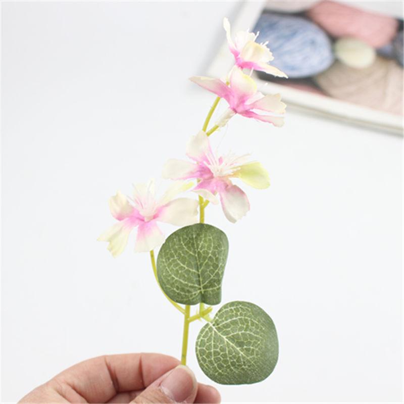 玫红芯色