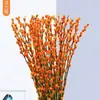 Flores Secas de Sauce Plateado Atractoras de Fortuna, Flores Reales, Ramas Frescas, Plantas Hidropónicas, Sauce Plateado Rojo, Flores de Año Nuevo, Cubo de Fortuna, Decoración Interior para Sala de Estar