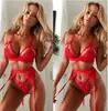 Comércio exterior Amazon sexy decote em V profundo cintura alta coração de pêssego cinta-liga conjunto de três peças AliExpress fabricantes europeus e americanos lingerie sexy