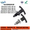 Perilla de Pasador de Indexación Tipo T émbolo Zau37/38/43/44/M12/16-D8-10/S6-9-8