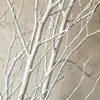 Novo Produto Kuang Xiang Zhe [Galhos de Bétula Branca] Estilo Wabi-Sabi de Alta Qualidade Janela de Casamento Decoração de Casa Galhos de Flores Secas