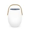E-Commerce Transfronterizo Luz de Ambiente Solar para Jardín Exterior Impermeable Luz Solar de Mesa para Jardín Luz Decorativa para Camping