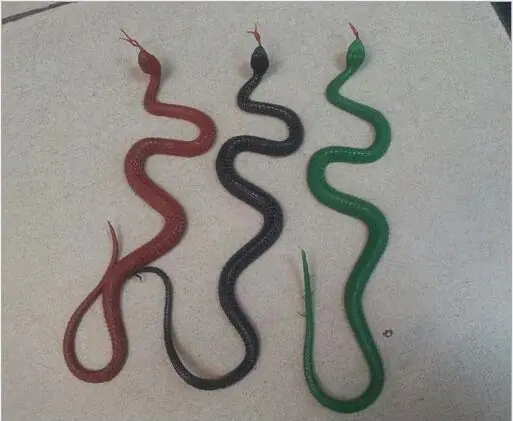 3567562594_1389453647