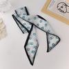 Bufanda de Seda Estrecha de Organza Elegante Súper Hada Ins Romántico Francés Cinta para el Cabello Transparente Retro Venta al por Mayor