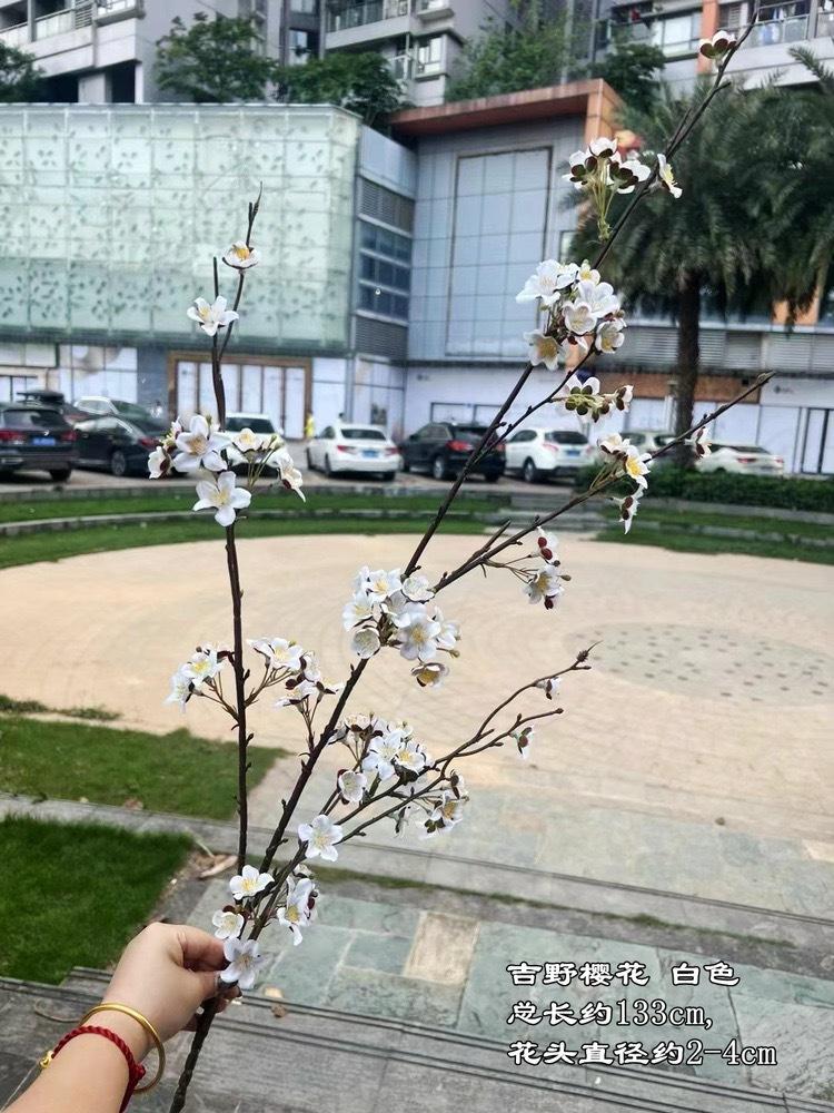 微信图片_20241006170952.jpg