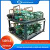 Unidade em Cascata de Baixa Temperatura Resfriada a Água Bitzer 40Hp Unidade Paralela Selada Armazenamento Frio Instalação no Local Economia de Energia e Eficiente
