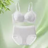 Sujetador Push-Up para Busto Pequeño Encaje Sin Costuras Ropa Interior Fina para Mujer Estilo Chino Estampado Sujetador para Mujer Conjunto de Sujetador Anticaída