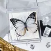 Foto de Espécime de Borboleta Real Porta-Retrato Caixa Transparente Ornamentos Estéreo Presente Ensino de Jardim de Infância Criativo Artesanal Adereços para Fotos