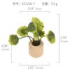 Amazon Planta Artificial Suculenta Imán de Corcho Imán de Refrigerador Decoración del Hogar Estilo Pastoral Suculenta Creativa Atracción Magnética