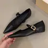 Zapatos de tacón bajo de punta fina con temperamento de brisa vespertina francesa para mujer 2026 Nuevo estilo coreano Zapatos planos Mary Jane para el trabajo de dama